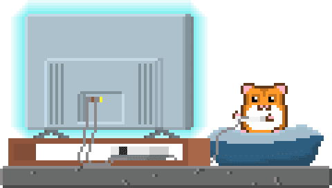 hamster watching
